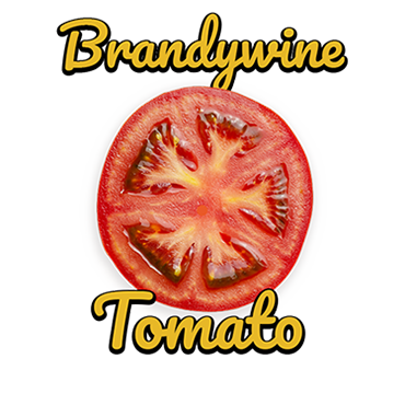 Brandywine tomato